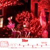 cshare String Lights Outdoor Waterproof 9.8ft 30 LED, Red Fairy