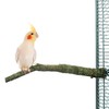 HappyBird Natural Cork Bird Perch - Small for Sitting, Nibbling,