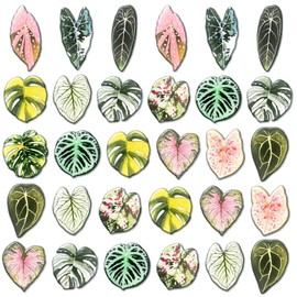 Sabary 30 Pcs Leaf Shaped Fridge Magnets Decorative Tropical Leaves Refrigerator Magnets for Kitchen Office Locker Home Decor, 3D Monstera Leaf Gifts for Plant Lovers