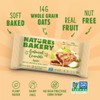 Nature's Bakery Oatmeal Crumble Apple Bars, 1.41 Oz, 6 Ct