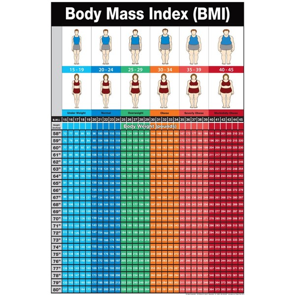 Body Mass Index 24" X 36" Laminated Chart