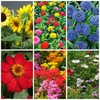 Organic Bouquet Flower Cutting Mix - 4 Oz ~24,000+ Seeds