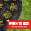 Ortho BugClear Insect Killer for Lawns and Landscapes Ready-to-Spray, Kills
