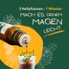 Digestive Drops 20ml Solution