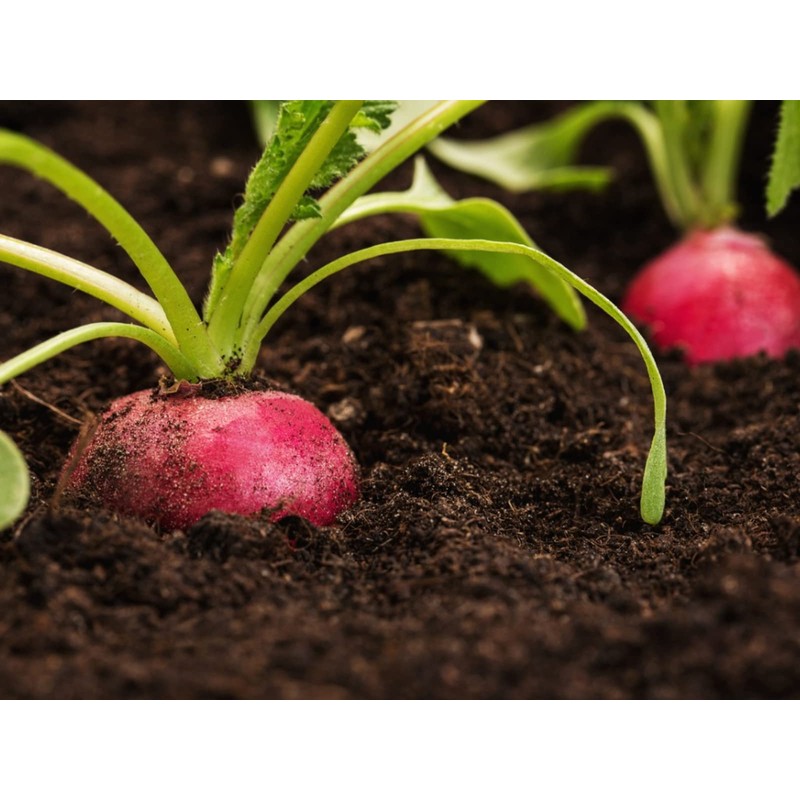Water Storing Polymer Crystal Helps Prevent Plants Over and Under