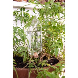 Kikkerland Hand Blown Glass Self Watering Stake for Potted Plants Water from a Crystal, Indoor Outdoor Gardening