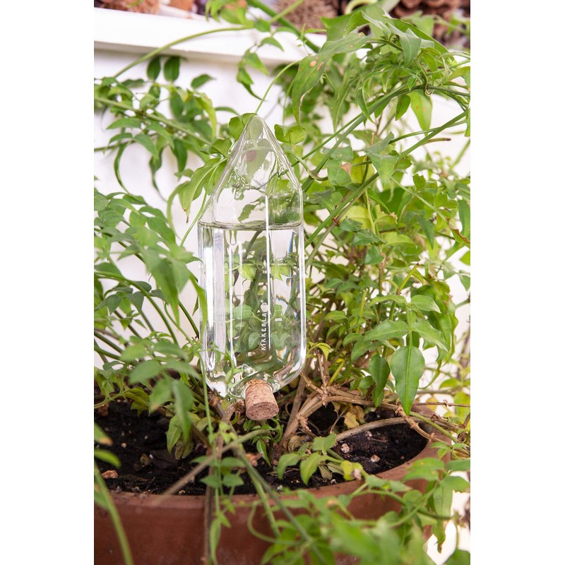 Kikkerland Hand Blown Glass Self Watering Stake for Potted Plants