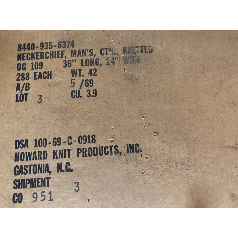 Vietnam Era Neckerchief dated 1969