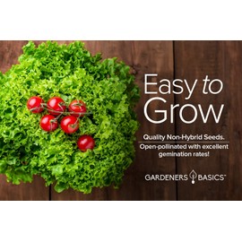 Gardeners Basics, Romaine Lettuce Seeds for Planting - Parris Island Cos Heirloom, Non-GMO Vegetable Variety- 2 Grams Seeds Great for Spring, Summer, Fall, Winter Garden and Hydroponics