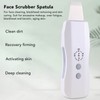 Facial Skin Scrubber Skin Lifting Firming Whitening Cleaning Exfoliator Blackhead