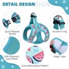 KOOLTAIL Dog Harness and Leash Set for Small Medium Dogs,