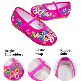 IDOTTA Girls Costume Shoes For Cosplay Embroidery Mary-Jane Flats Shoes