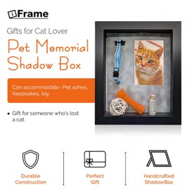 iFrame Pet Memorial Shadow Box Picture Frame Pet Loss Keepsake & Gift, Cats, Kittens, Kitty Animals, Made in USA, Black