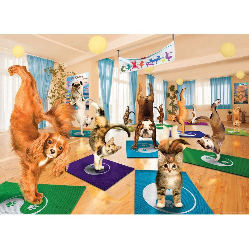 EuroGraphics Yoga Studio 300-Piece Puzzle