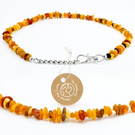 Amberta Amber Collar for Dogs and Cats | Amber Necklace for Dogs | Collar Dog: 25-30 cm