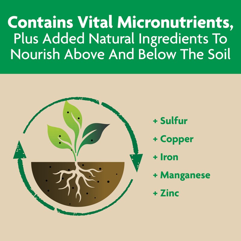 Miracle-Gro Shake 'N Feed Tomato, Fruit and Vegetable Plant Food,