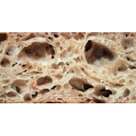 Unbranded THE 0RIGINAL WHARF SAN FRANCISC0 S0URD0UGH STARTER yeast powder dry culture @