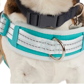 Everyay Every Yay Embrace The Pace Training Dog Harness Small New W/Tags Blue