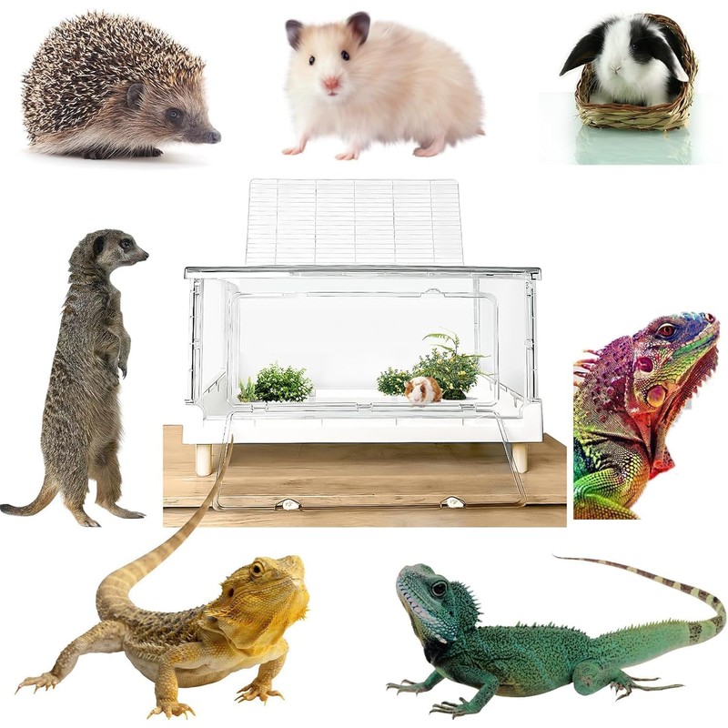 Hamster Cage & Guinea Pig Cages, Acrylic Cage for Small