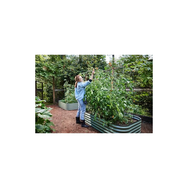 Durable Plant Support Clips for Climbing Plants - 100 Pack