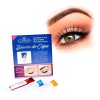 Kit Gel Diseño Cejas Planchado Profesional J Denis Azul 3x45mL