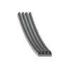 Blue Print AD04R830 V-Ribbed Belt 4 Rib Count