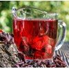 티스트롱 히비스커스 리프컷 벌크 Tistlong Hibiscus Leaf Cut Bulk