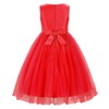 JerrisApparel Little Girls' Sequin Mesh Flower Ball Gown Party Dress