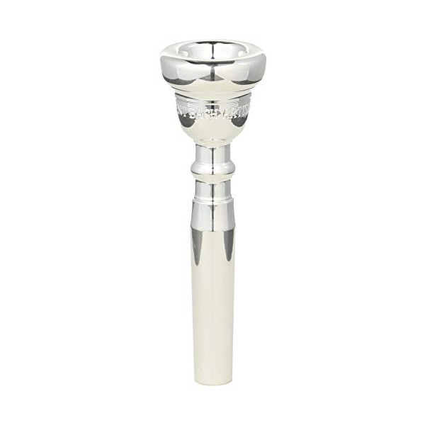 Vincent Bach Trombone Cleaning and Care Product (A4513C2)