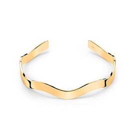 Apple of Eden Bangle AJ-0025-B-58 IP, Stainless Steel, none