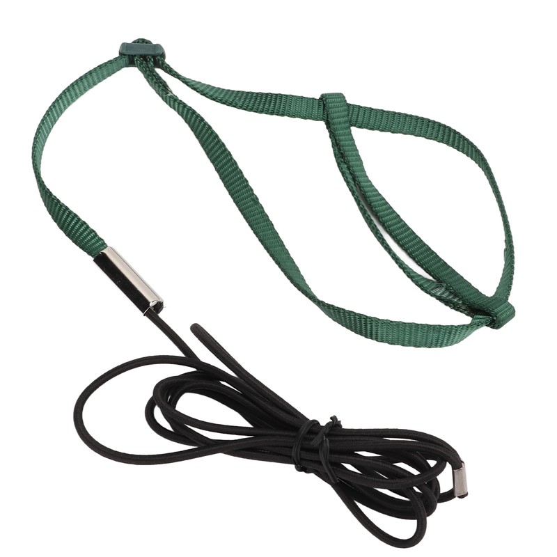 Bird Harness Leash Adjustable Elastic Flying Training Parrot Traction Rope