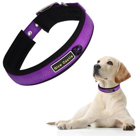 Reflective Dog Collar, Comfy Soft Neoprene Padded, Heavy Duty Nylon Pet Collars with Metal Buckle Adjustable for Small Medium Large X-Large Dogs(Purple,L)