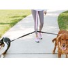 Cajun Tie Downs Reflective - Double Dog Leash - No