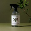 Koala Eco Natural Stainless Cleaner, 500ml