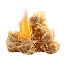 TRAEKESYI Eco-Friendly Fire Starter Kit, 50 Rolls - Firewood Starters for Campfires, Fire Pits, Chimneys, and BBQ - Camping Essentials for Indoor & Outdoor Use