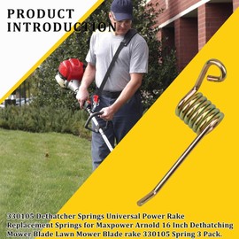 remolean 330105 Dethatcher Rake Spring, Springs for Arnold 16 Inch Dethatching Mower Blade, Power Blade and Mastercraft Thatcher Blade, Spring for Dethatching Rake Blade, 6 Pack