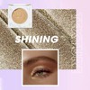 Glitter Gold Eyeshadow Palette, Single Champagne Eye Shadow Cream, Pearlescent
