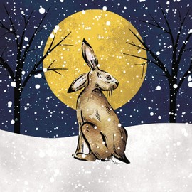 GBCC Charity Christmas Cards Pack of 8 - Charity Christmas Cards 2024 with a Hare and Moon Design - Eco-Friendly Xmas Cards Multipack with Envelopes
