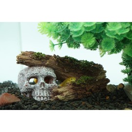 AQUA KT Aquarium Landscape Skeleton Head Skull with Tree Branch for Betta Cichlid Fish Hiding Rock Aquatic Decoration