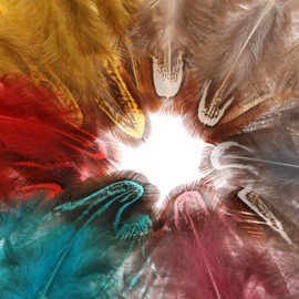 MWOOT Pack of 120 Coloured Feathers, 6 Colours, Colourful Mini Feathers, 4-8 cm Craft Feathers, DIY Dream Catcher Feathers, Feather for DIY Earrings, Jewellery, Wedding, Home, Decoration, Brown, Black, Red, Yellow, Pink, Blue