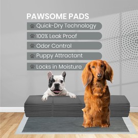 FPN Charcoal Puppy Pee Pads for Dogs | 24x36 Inches | 300 Count | Extra Absorbent | Heavy Duty Dog Pad | 5 Layer Puppie for Instant Absorption, (Extra Large)
