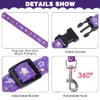 Cat Harness with Leash and Collar Set - Escape Proof