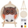 WEBEEDY Owl String Art Kit Craft Cupcake DIY Nail String