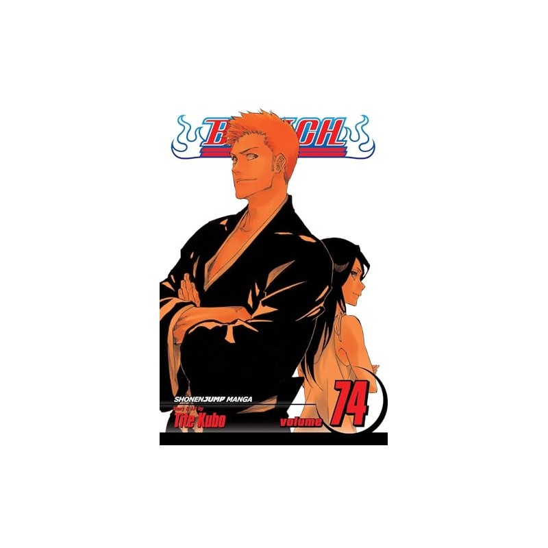 Bleach, Vol. 74 (Volume 74)