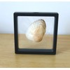 Challenge Coins Display Frame, Clear 3D Floating Holder, Small Shadow