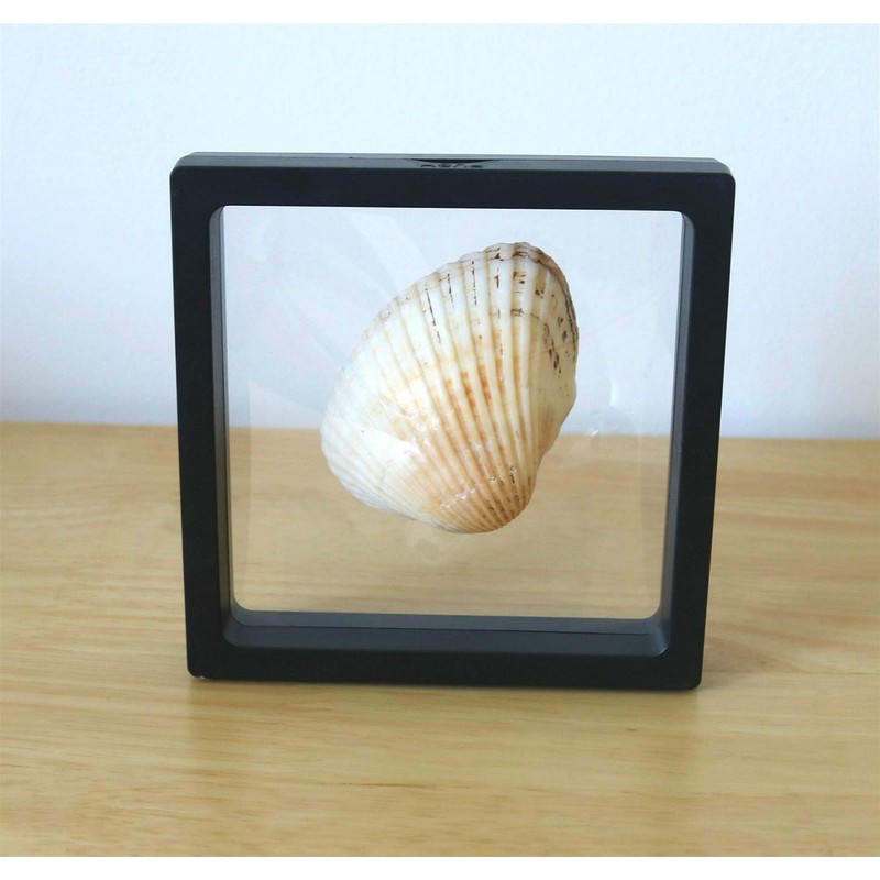Challenge Coins Display Frame, Clear 3D Floating Holder, Small Shadow