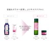 WELEDA Wild Rose Smoothing Lotion, 5.1 fl oz (145 ml),