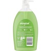Radox Shower Gel Feel Energised 1 Litre