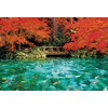 [Made in Japan] Beverly 300 Piece Jigsaw Puzzle Monet's Pond