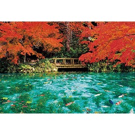 [Made in Japan] Beverly 300 Piece Jigsaw Puzzle Monet's Pond in Autumn Colors (10.2 x 15.0 inches (26 x 38 cm) 33-214